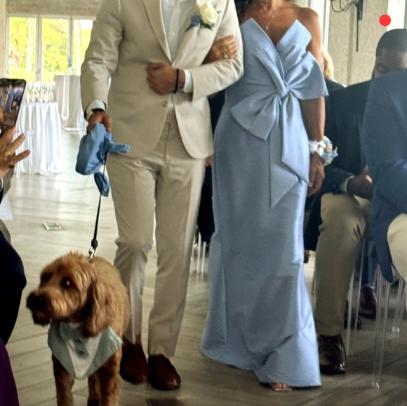 Badgley Mischka Strapless Blue Dress - Picture 6 of 11